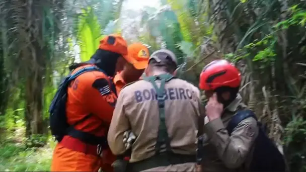 Urubus e odor forte levam bombeiros a área crítica nas buscas por crianças desaparecidas em Bacabal 5 Bombeiros atuam em mata fechada durante buscas por crianças desaparecidas em Bacabal, no Maranhão, avançando em área de vegetação densa com equipamentos de resgate.
